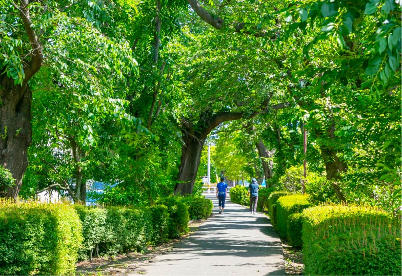 西町緑地